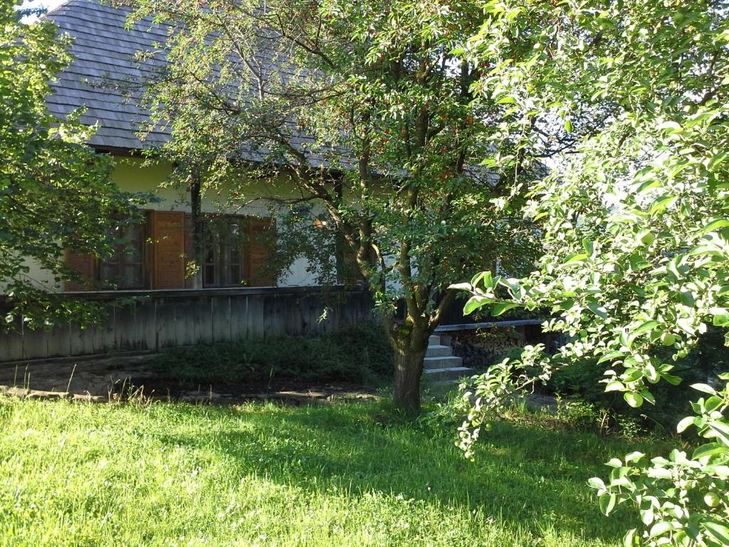 Pintea Cottage - Bucovina room 6
