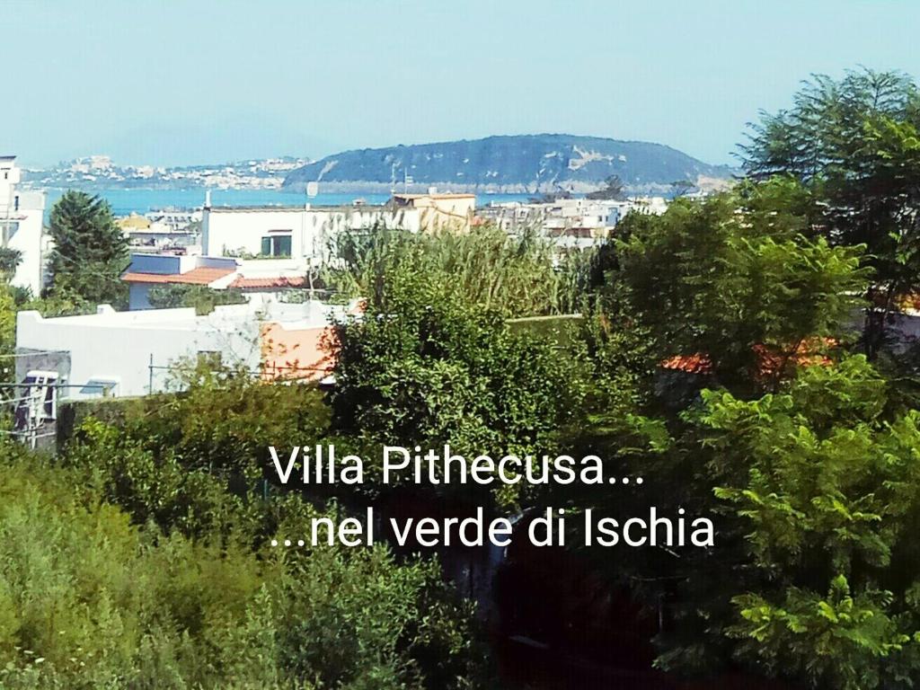 Villa Pithecusa room 1