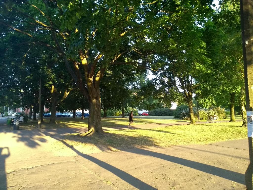 Pod Areną room 2