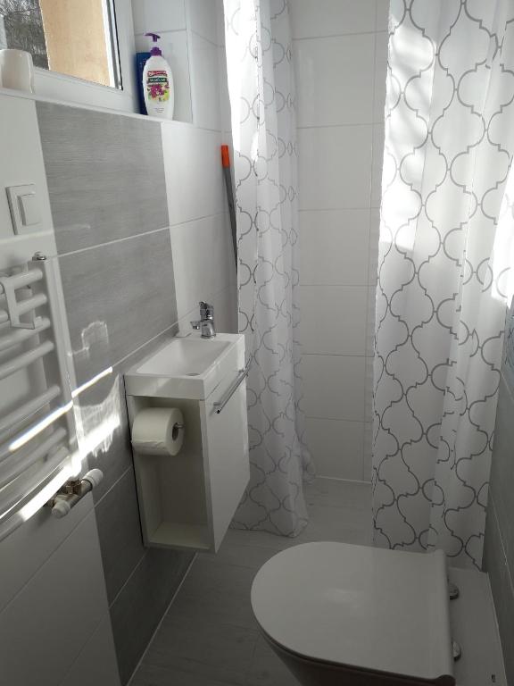 Pokoje Gościnne Vida room 5