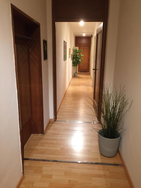 Polo Residence room 1