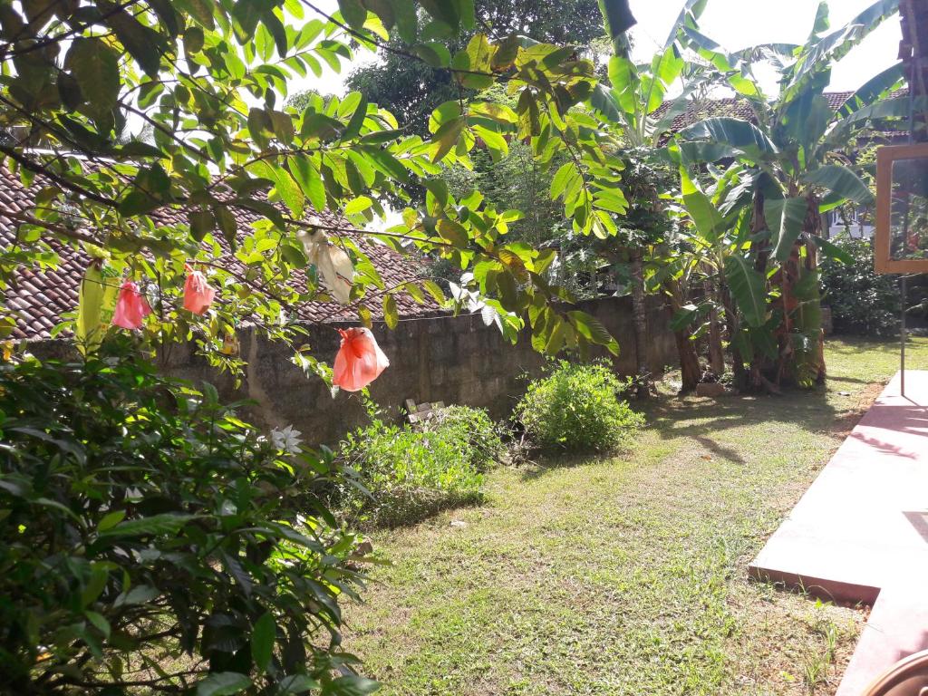 Pradeepa house room 3