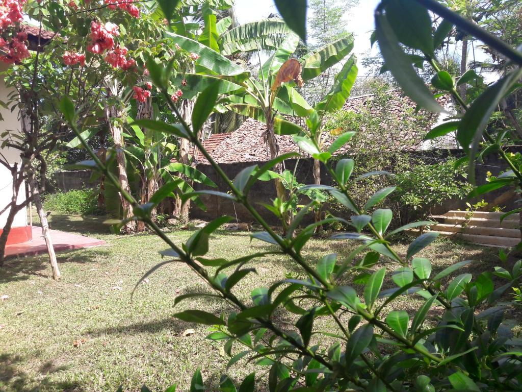 Pradeepa house room 5