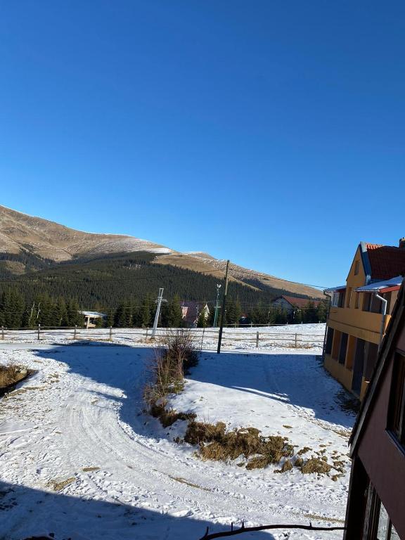 Pensiunea Pusu room 6