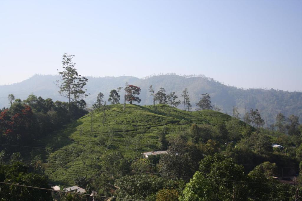 Richard Homestay room 2