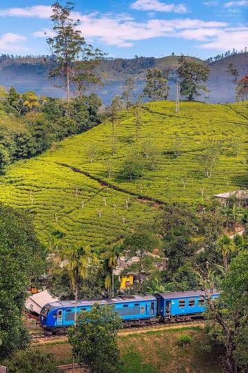 Richard Homestay room 3