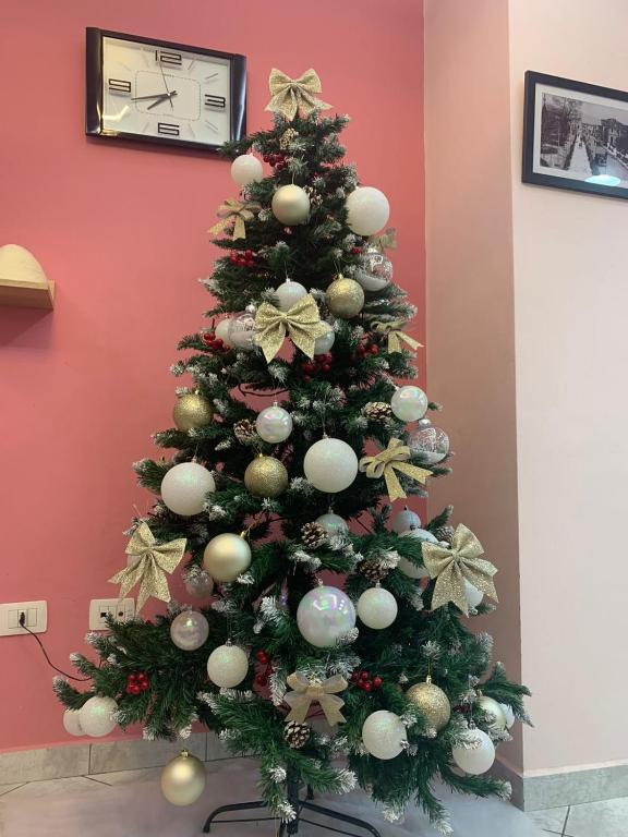 Ridi's Comfort Apartment room 2