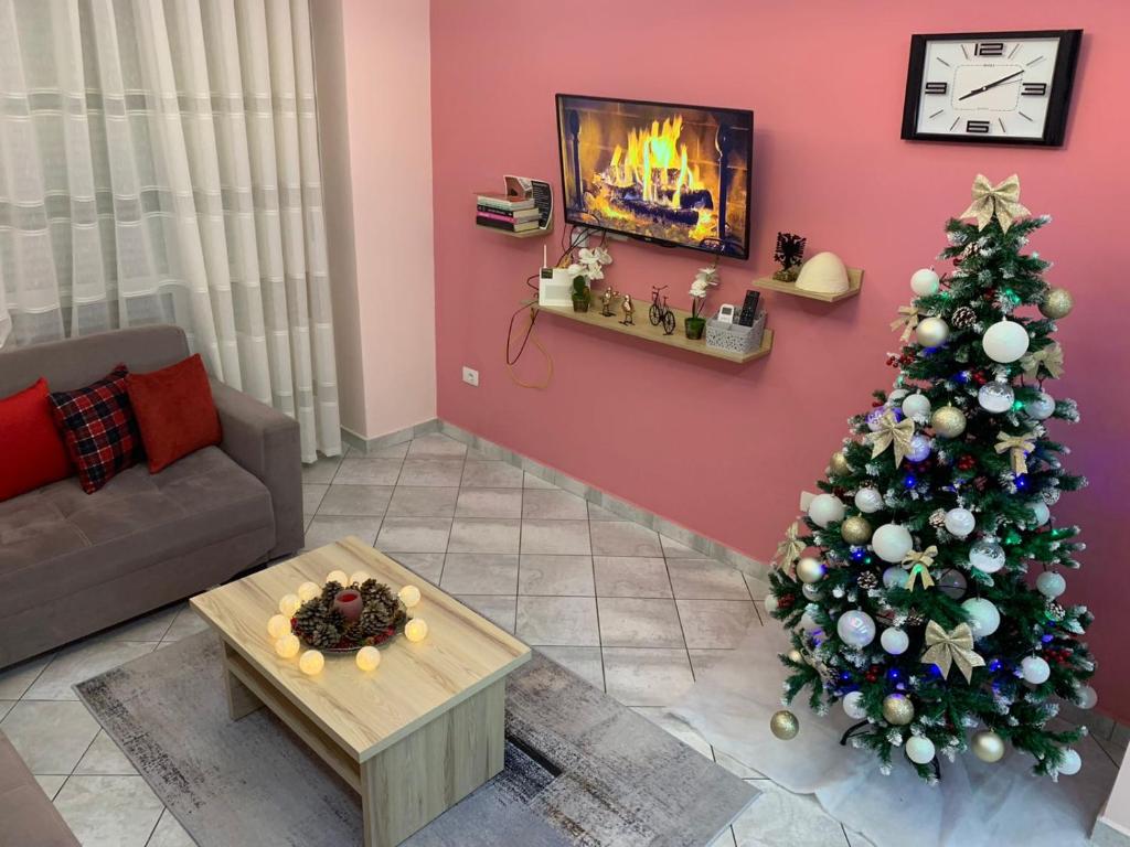 Ridi's Comfort Apartment room 4