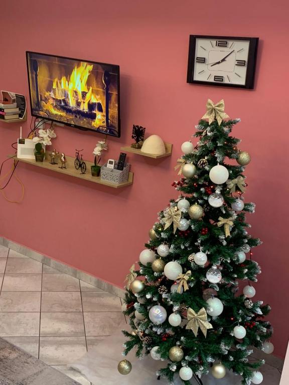 Ridi's Comfort Apartment room 5