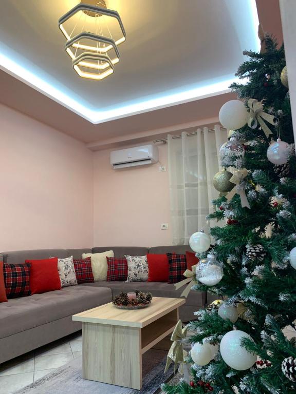 Ridi's Comfort Apartment room 6