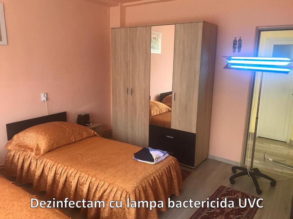 Rodica Apartment room 1