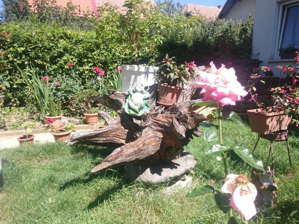 Rodica Apartment room 2