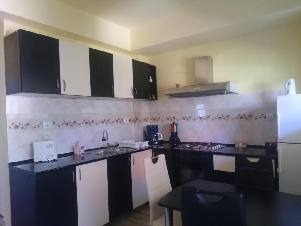 Rodica Apartment room 3