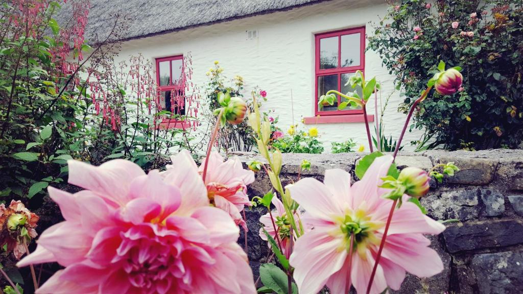 Rose Cottage room 1