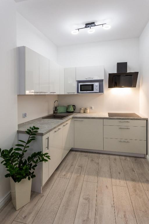Apartament Rynek Sienny 2 room 5
