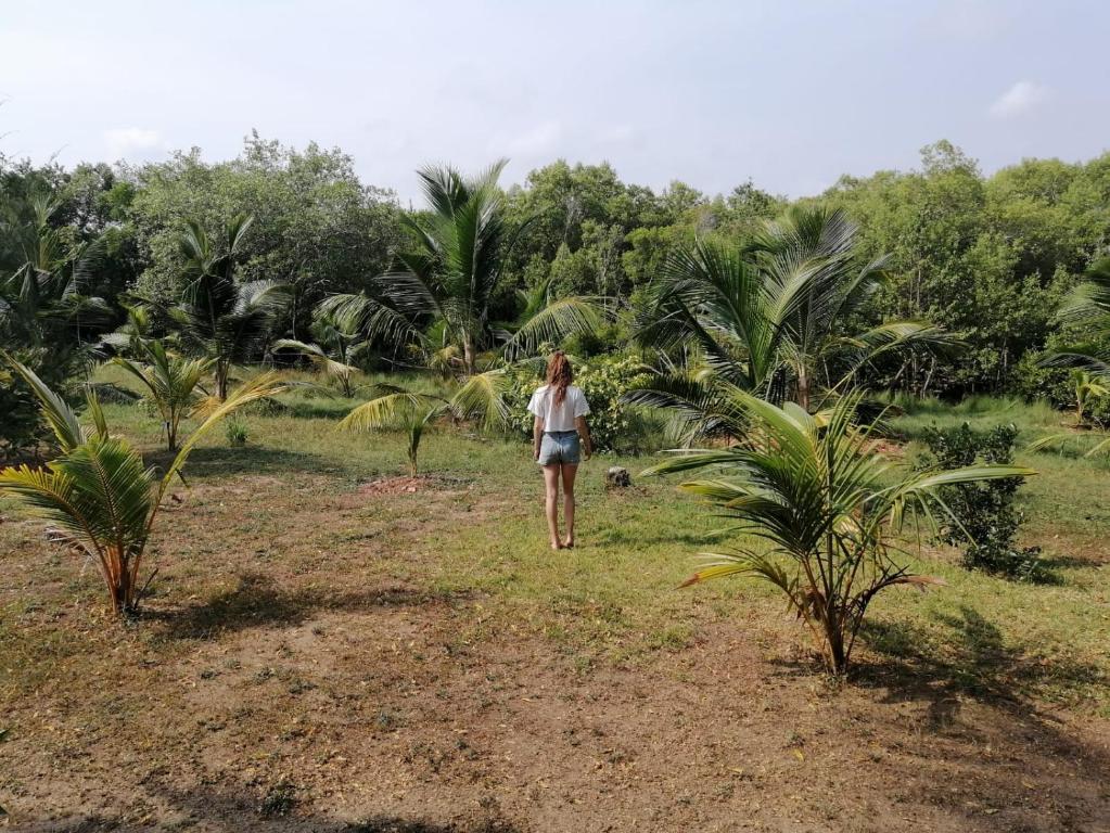 Sea sound cabana & Restaurant room 6