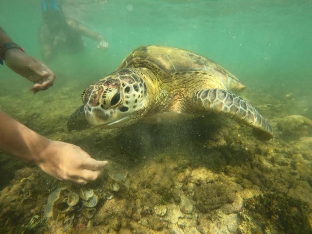 Seashell Guest House room 4