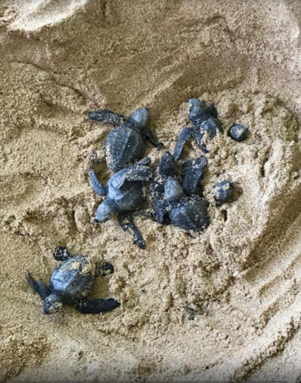 Seashell Guest House room 6