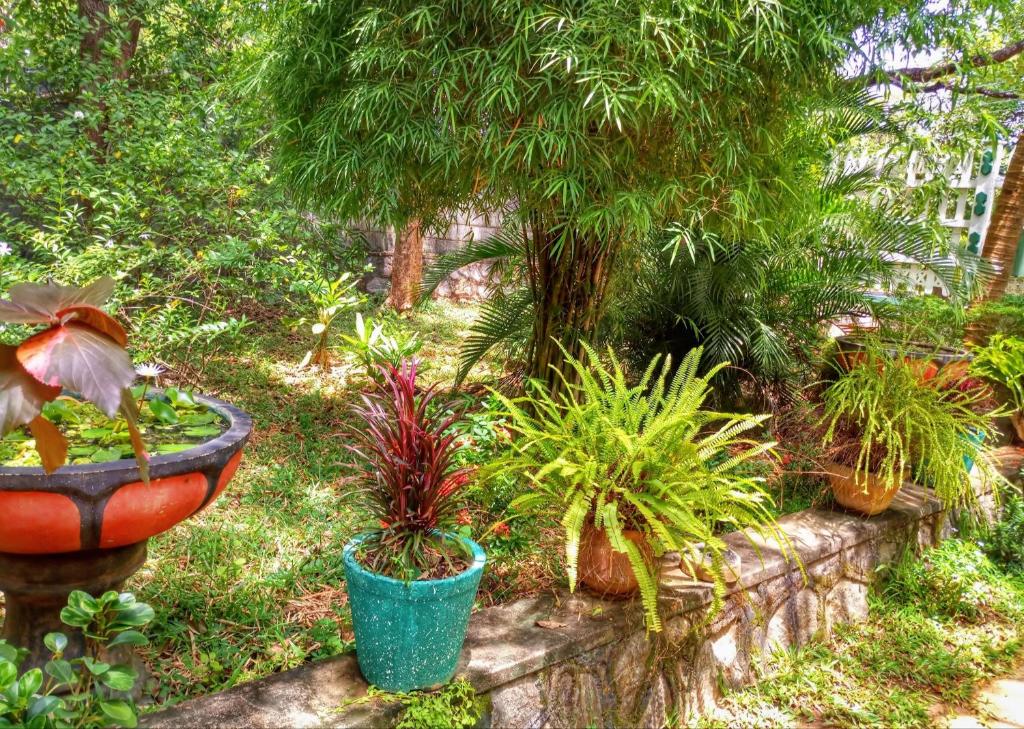 Sigiri Regal Residence room 2