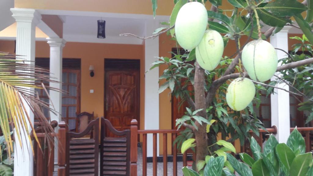 Sigiri Regal Residence room 4