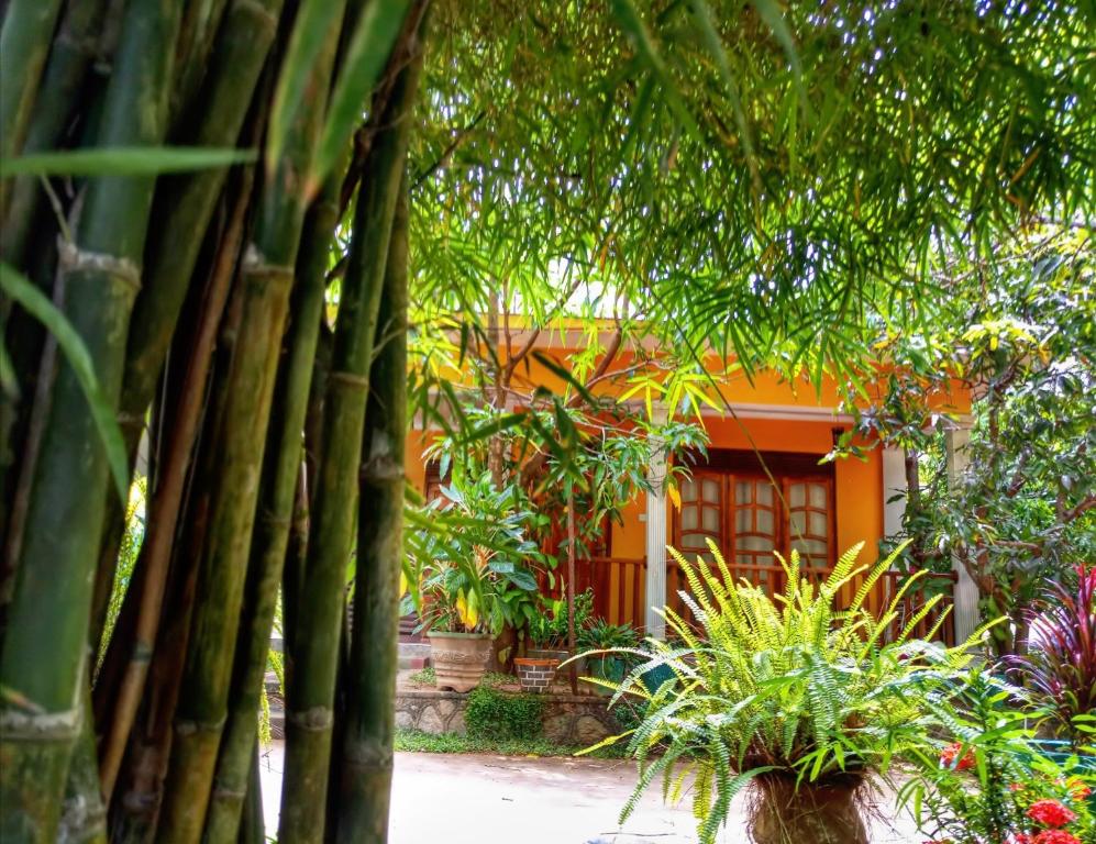 Sigiri Regal Residence room 5