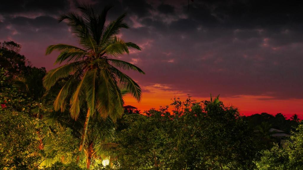 Simon's Lodge Hikkaduwa room 1