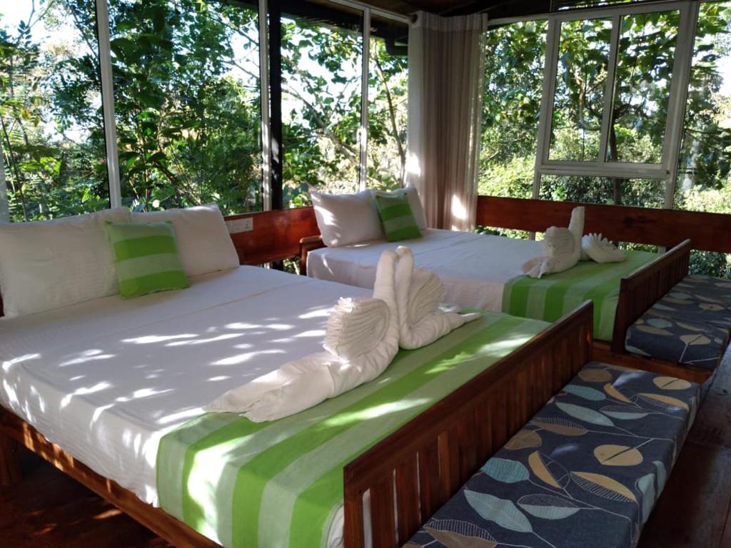 Sinharaja Kurulu Ella Eco Resort room 1