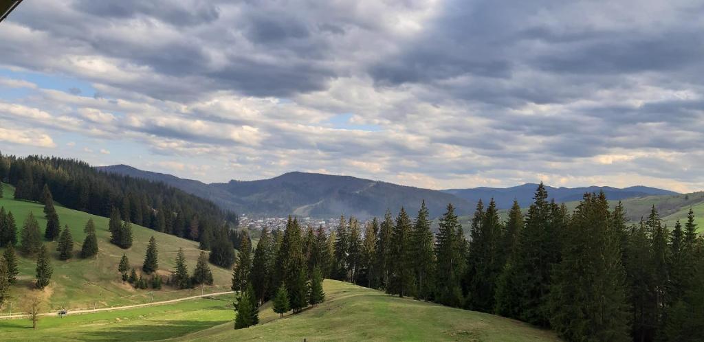 Bucovina Sky View room 6