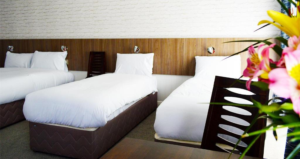Slaney Suites room 3