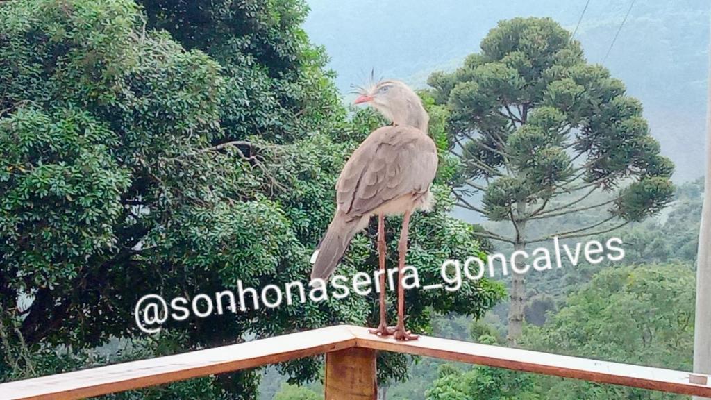 Bangalô Sonho na Serra room 1