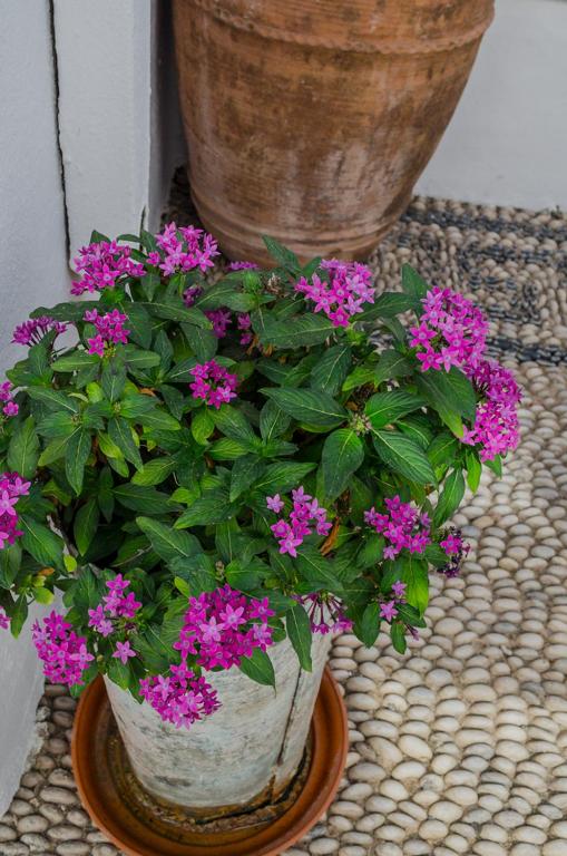 Villa Soultana room 5