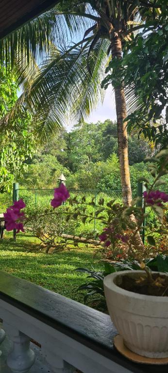 Suma Villa 594 Elpitiya road Baduwaththa Dedduwa Bentota room 5