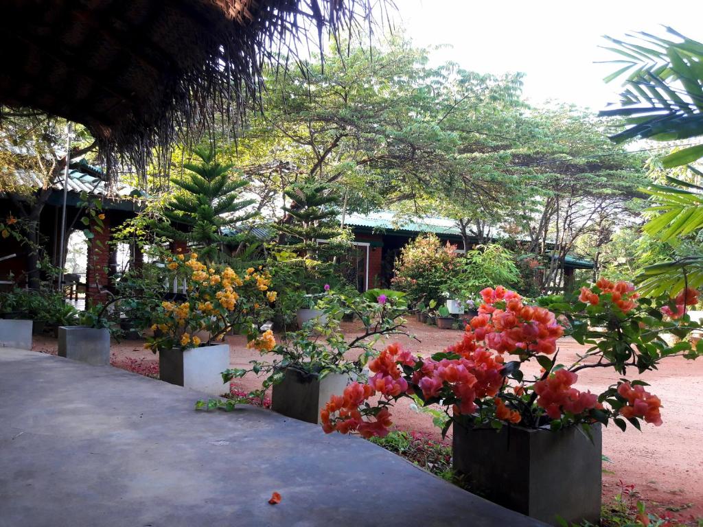 Sunshine Resort & Spa Sigiriya room 6