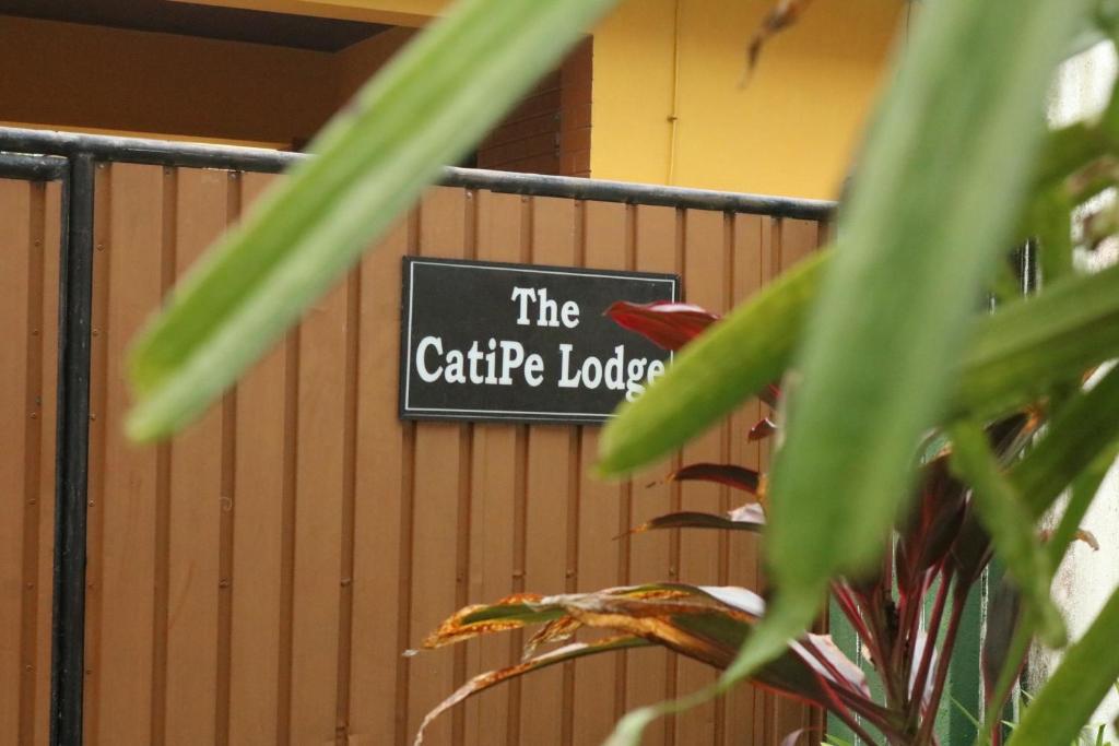 The CatiPe Lodge room 3