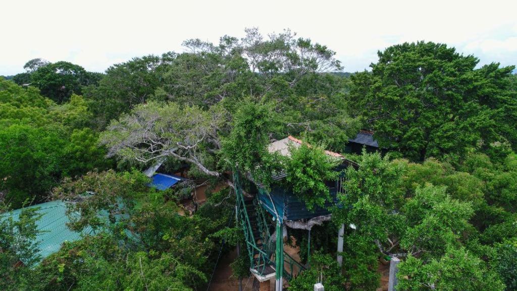 Yala Tree House Safari room 1