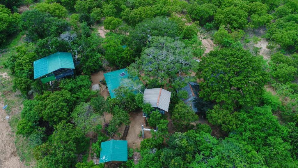 Yala Tree House Safari room 2