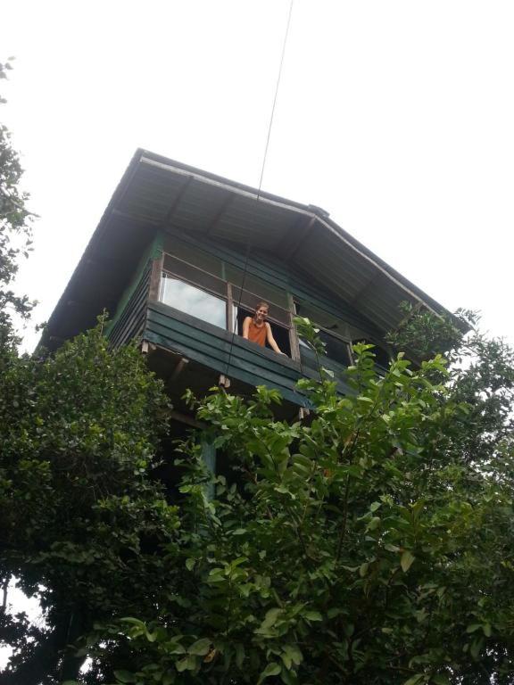 Yala Tree House Safari room 3