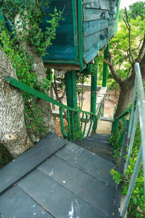 Yala Tree House Safari room 5