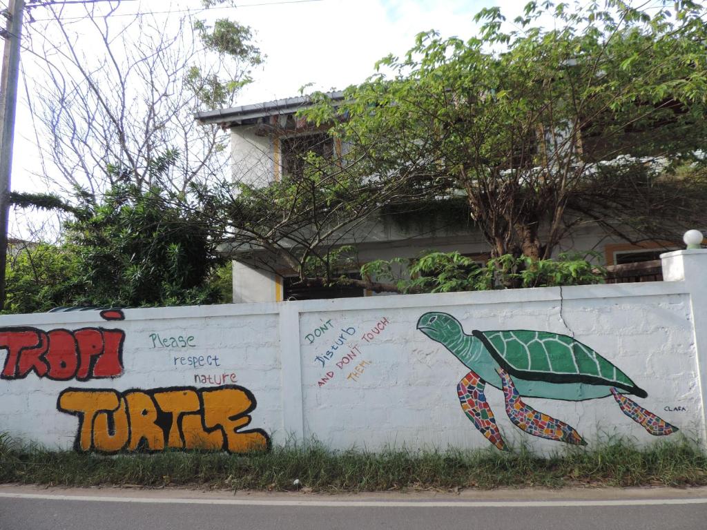 Tropi Turtle Guesthouse room 2