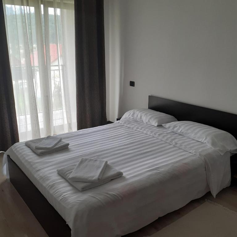 Vila Puiu Borsa MM room 2