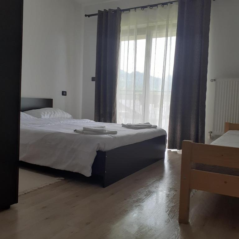 Vila Puiu Borsa MM room 3