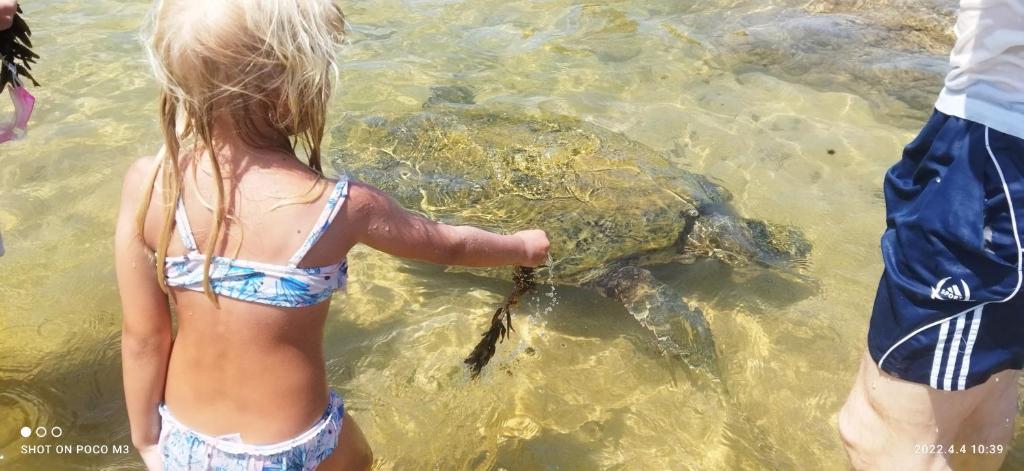 Villa dammika room 3