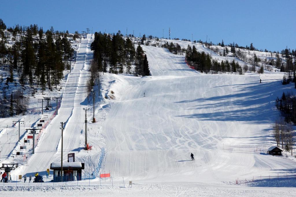 Villa Kuukkeli Salla room 6