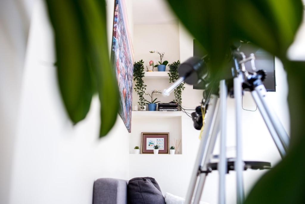 Voal Mini Apartament room 1