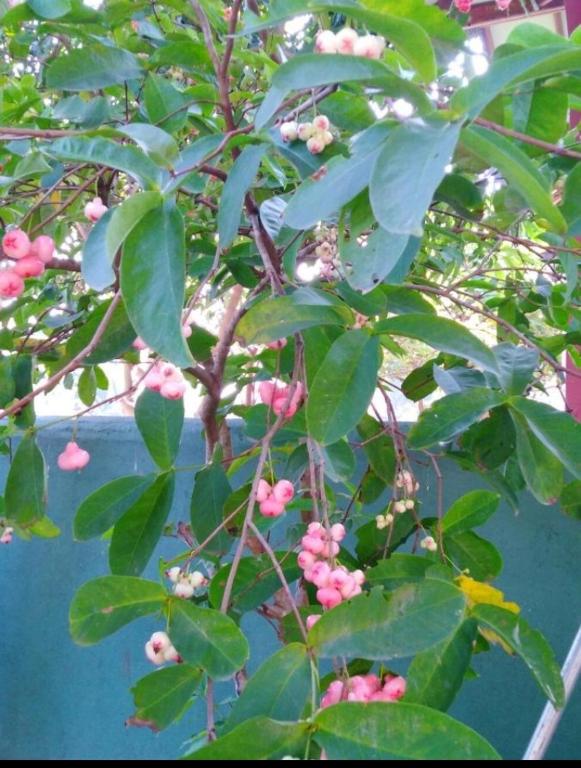 Well Being Airport Transit room 3