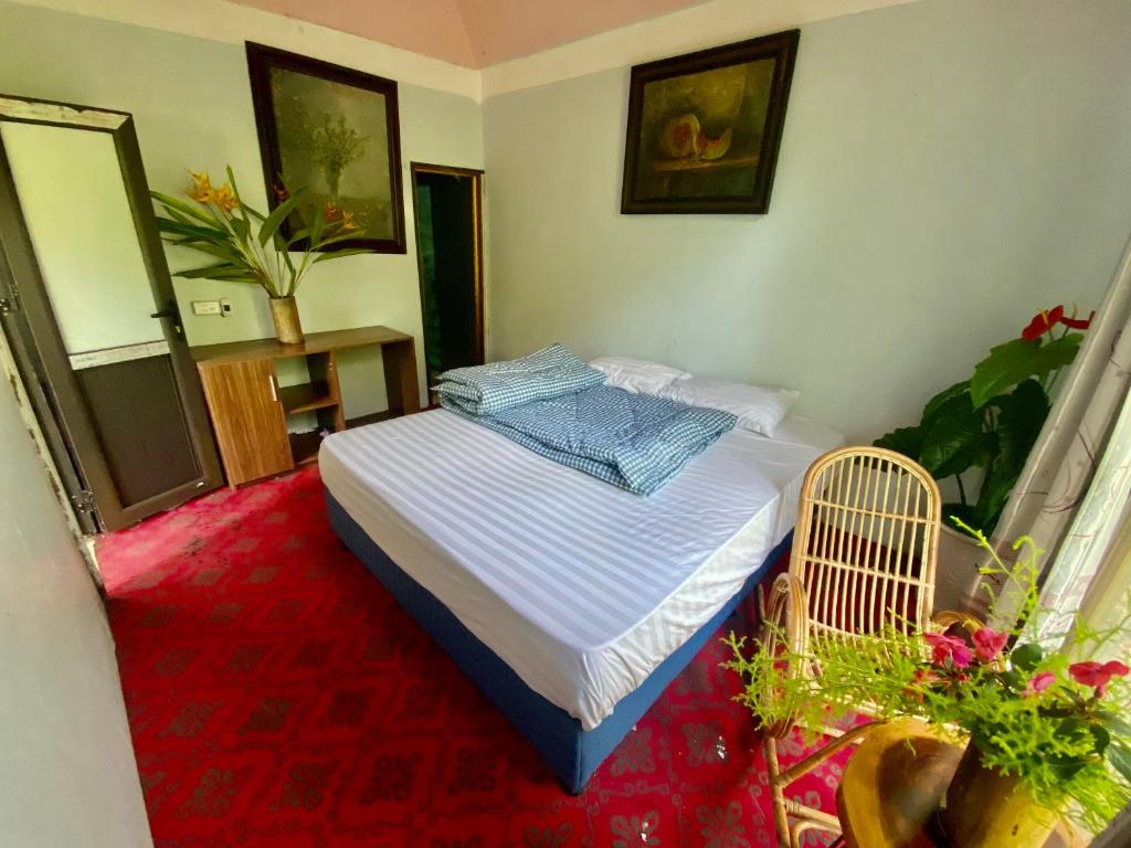 Homestay Điện Biên- Thung Lũng Hoa Hồng room 2