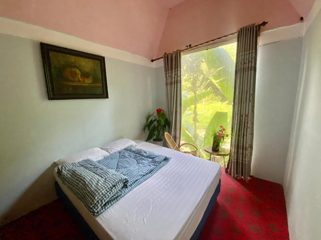 Homestay Điện Biên- Thung Lũng Hoa Hồng room 3