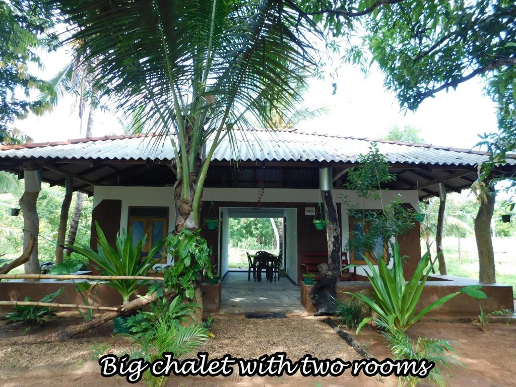 Yala Avian Eye Safari Buttala room 1