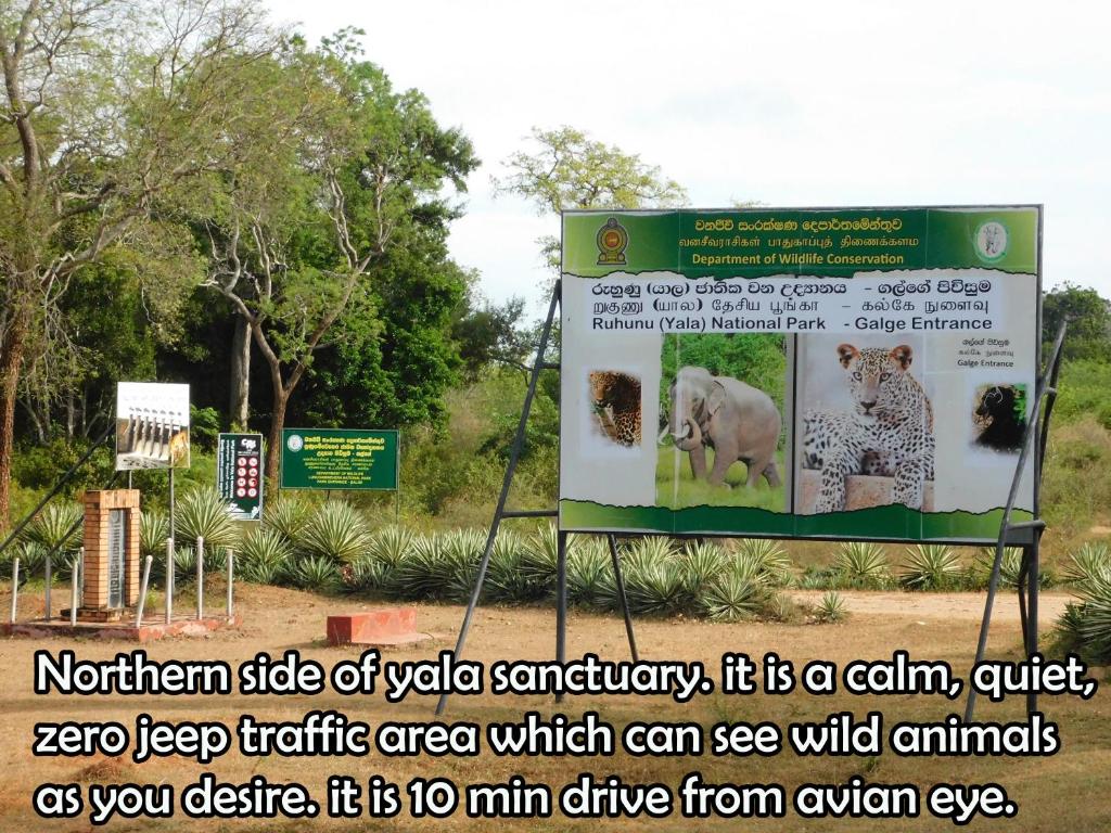 Yala Avian Eye Safari Buttala room 5