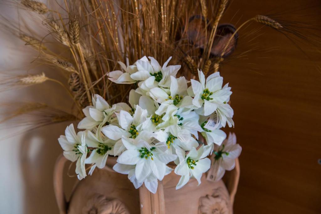 Zagarella House room 5